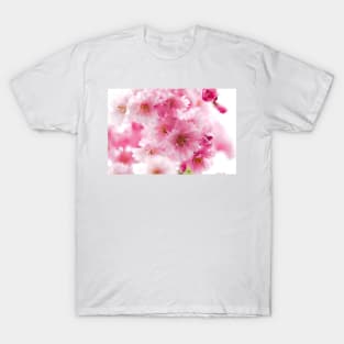 Cherry blossom flowers T-Shirt